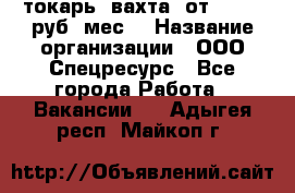 токарь. вахта. от 50 000 руб./мес. › Название организации ­ ООО Спецресурс - Все города Работа » Вакансии   . Адыгея респ.,Майкоп г.